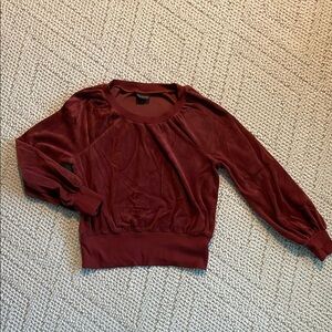 Wilfred Burgundy Velvet Long Sleeve Top
